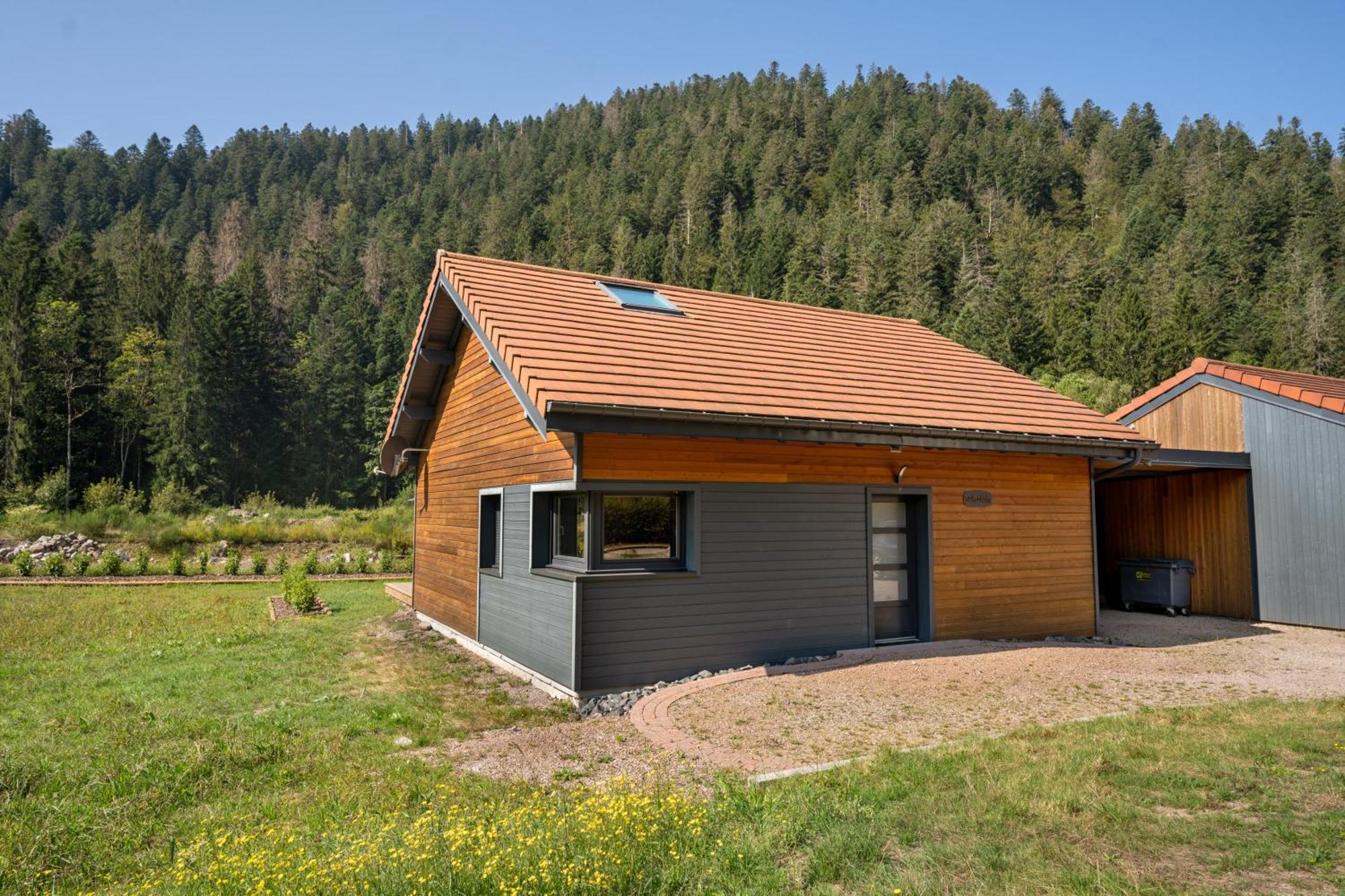 Chalet Nemesia Avec Spa A Gerardmer Exterior photo